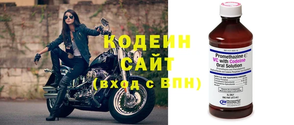индика Корсаков