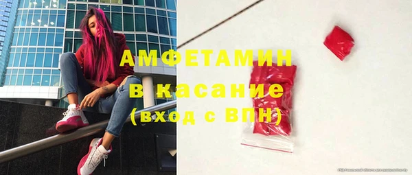 шишки Костерёво