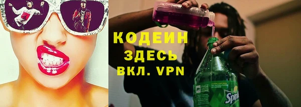 хмурый Алзамай