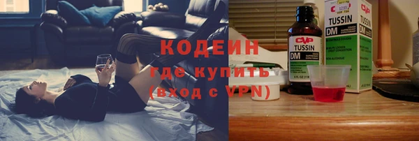 хмурый Алзамай