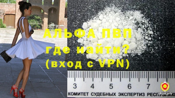 хмурый Алзамай
